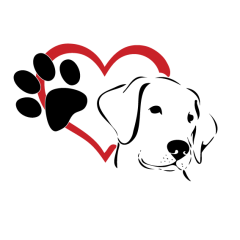Labradorinnoutaja koira tarra sydän